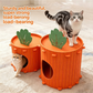🥕Halber Preis für begrenzte Zeit🐱Gemütliches Karotten-Katzennest