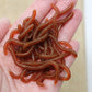 🎣 50% RABATT! 🪱 Weichköder Regenwurm – Garnelenduft, 50/100er Pack ✨
